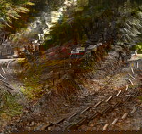The West Coast Wilderness Way - Northern Rivers Accommodation