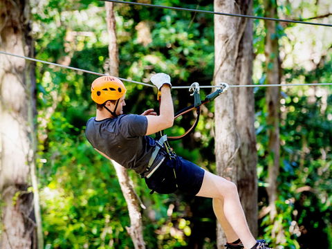 TreeTop Challenge Currumbin Wildlife Sanctuary - Northern Rivers Accommodation 0