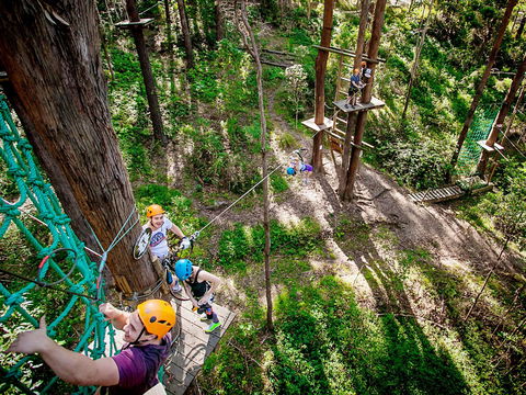 TreeTop Challenge Currumbin Wildlife Sanctuary - Northern Rivers Accommodation 2