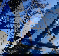 Trees Adventure Nowra Park - Northern Rivers Accommodation