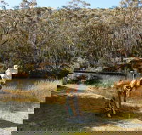 Wild Valley Art Park - Northern Rivers Accommodation