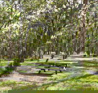 Wollomombi Gorge and Falls Picnic Area - Northern Rivers Accommodation