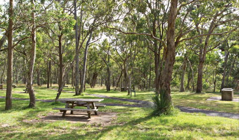 Wollomombi Gorge And Falls Picnic Area - Northern Rivers Accommodation 0