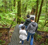 Yarra Ranges National Park - Northern Rivers Accommodation