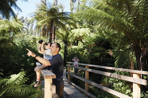 Yarra Ranges National Park - Northern Rivers Accommodation 1