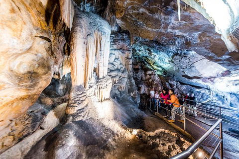 Jenolan Caves: Chifley Cave Tour - Northern Rivers Accommodation 0