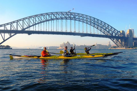 Beautiful Sydney Sunriser Kayaking Tour - Northern Rivers Accommodation 5