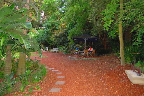 Beautiful Sydney Sunriser Kayaking Tour - Northern Rivers Accommodation 3