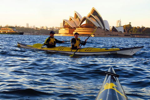 Beautiful Sydney Sunriser Kayaking Tour - Northern Rivers Accommodation 4