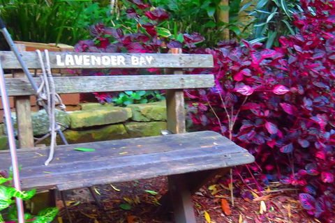 Beautiful Sydney Sunriser Kayaking Tour - Northern Rivers Accommodation 7