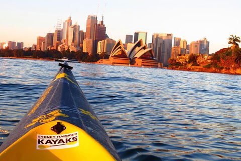 Beautiful Sydney Sunriser Kayaking Tour - Northern Rivers Accommodation 8