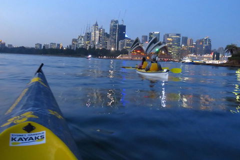Beautiful Sydney Sunriser Kayaking Tour - Northern Rivers Accommodation 6