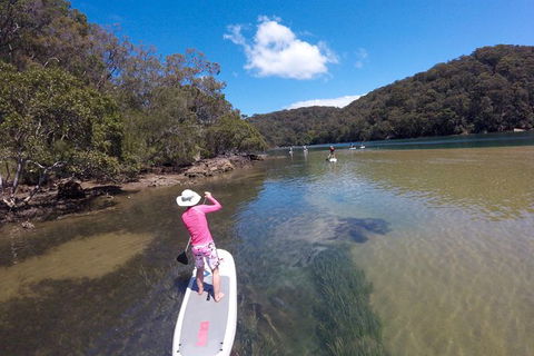 Ku-ring-gai Chase National Park Stand Up Paddleboard Tour - Northern Rivers Accommodation 4