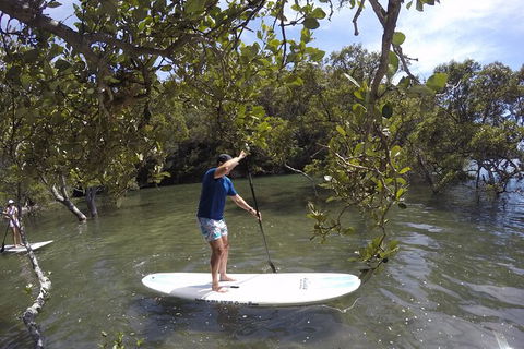 Ku-ring-gai Chase National Park Stand Up Paddleboard Tour - Northern Rivers Accommodation 0