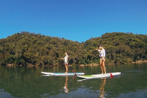 Ku-ring-gai Chase National Park Stand Up Paddleboard Tour - Northern Rivers Accommodation 3