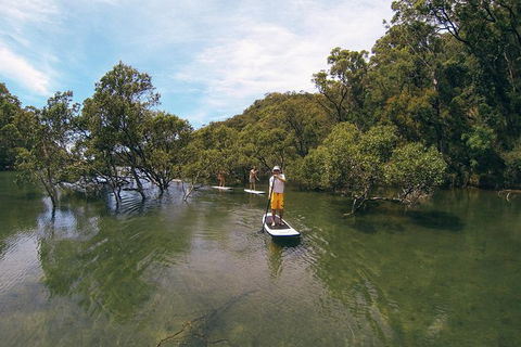 Ku-ring-gai Chase National Park Stand Up Paddleboard Tour - Northern Rivers Accommodation 1