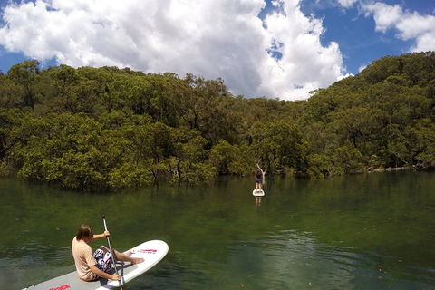 Ku-ring-gai Chase National Park Stand Up Paddleboard Tour - Northern Rivers Accommodation 5