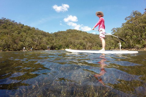 Ku-ring-gai Chase National Park Stand Up Paddleboard Tour - Northern Rivers Accommodation 2