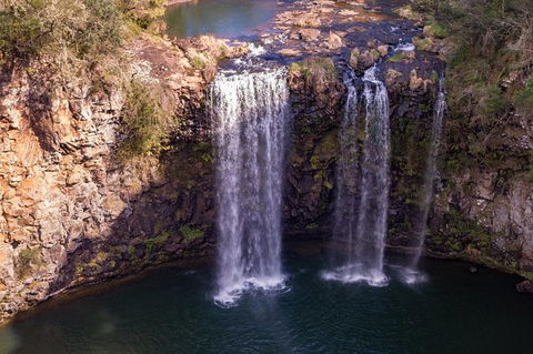 Rainforest & Waterfall Experience - Northern Rivers Accommodation 1
