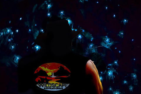 Blue Mountains Hiking Glow Worms Cave Wildlife Spotlighting Night Adventure - Northern Rivers Accommodation 0