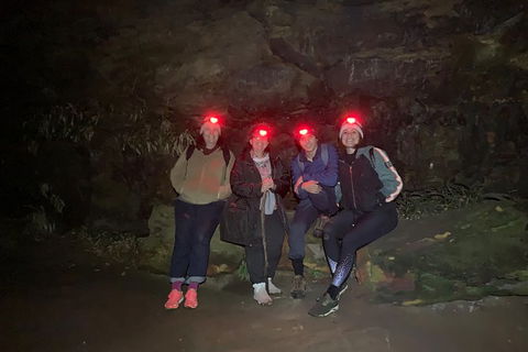 Blue Mountains Hiking Glow Worms Cave Wildlife Spotlighting Night Adventure - Northern Rivers Accommodation 12