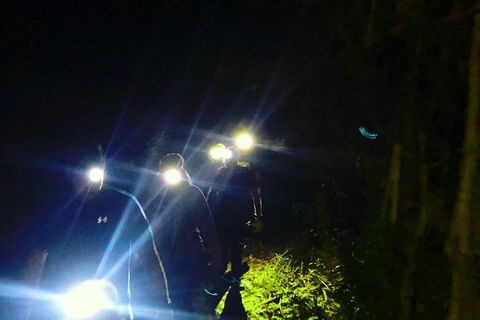Blue Mountains Hiking Glow Worms Cave Wildlife Spotlighting Night Adventure - Northern Rivers Accommodation 8