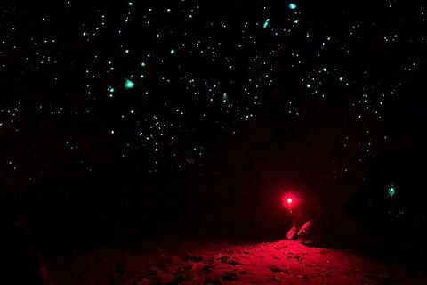 Blue Mountains Hiking Glow Worms Cave Wildlife Spotlighting Night Adventure - Northern Rivers Accommodation 5