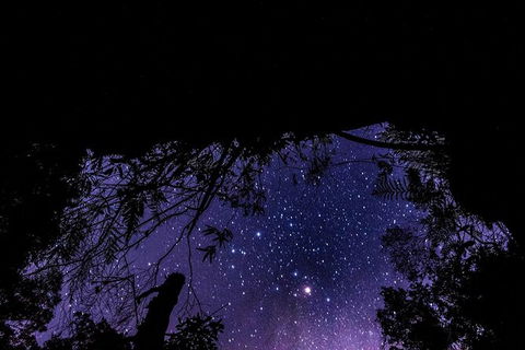 Blue Mountains Hiking Glow Worms Cave Wildlife Spotlighting Night Adventure - Northern Rivers Accommodation 11