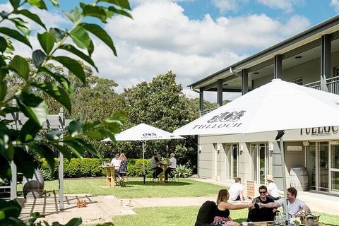 Tulloch Wines- Premium Museum Aged Wine Tasting With Cheese And Charcuterie - Northern Rivers Accommodation 7