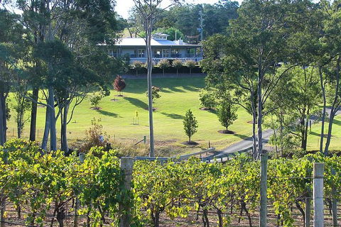 Tulloch Wines- Premium Museum Aged Wine Tasting With Cheese And Charcuterie - Northern Rivers Accommodation 5