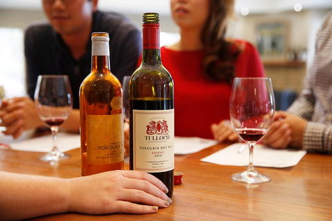 Tulloch Wines- Premium Museum Aged Wine Tasting With Cheese And Charcuterie - Northern Rivers Accommodation 6