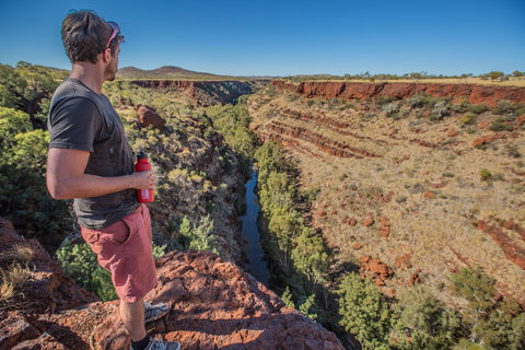 Gorge Rim Walk, Dales Gorge - Northern Rivers Accommodation 0