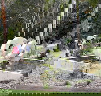 Maroochy Regional Bushland Botanic Garden - Northern Rivers Accommodation