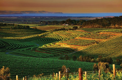 Mclaren Vale - Northern Rivers Accommodation 1