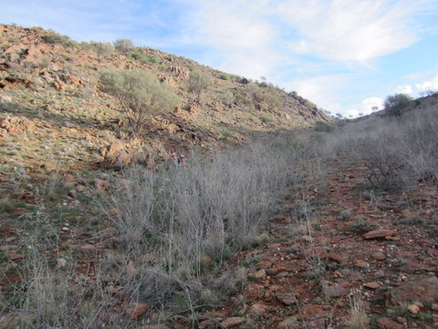Sundown Nature Trail - Northern Rivers Accommodation 2