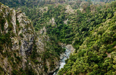 Tiara Walking Track - Northern Rivers Accommodation 0