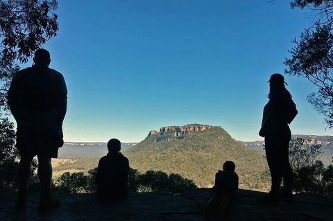 Glow Worm Tunnel Hike - Northern Rivers Accommodation 2