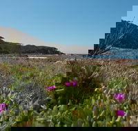 Big Rocky Full Day Guided Walk - Northern Rivers Accommodation