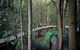 Blue Mountains PRIVATE Day Tour - thumb 11