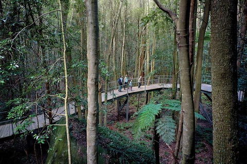 Blue Mountains PRIVATE Day Tour - Northern Rivers Accommodation 11