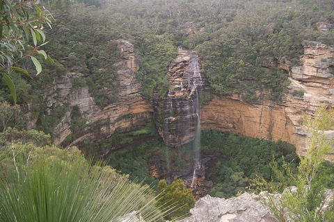 Blue Mountains PRIVATE Day Tour - Northern Rivers Accommodation 7