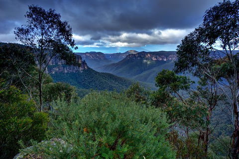 Ultimate Blue Mountains And Wildlife Tour - Northern Rivers Accommodation 6