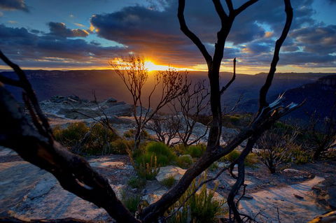 Ultimate Blue Mountains And Wildlife Tour - Northern Rivers Accommodation 0