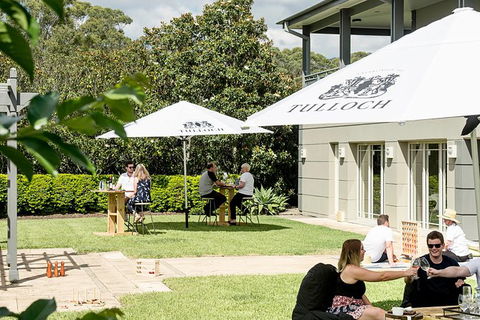 Tulloch Wines- Mystery Wine Tasting Experience With Local Cheese And Charcuterie - Northern Rivers Accommodation 5