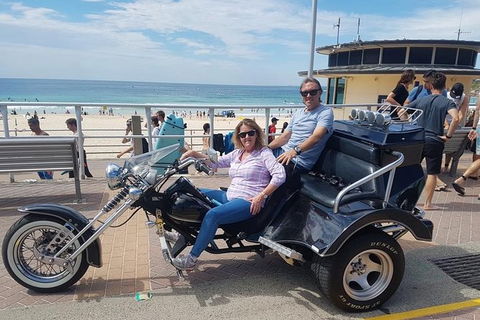 Bondi & Sydney Sights Trike Tour 1.5hrs - Northern Rivers Accommodation 4