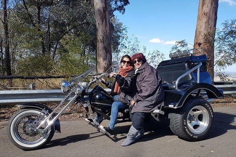 Bondi & Sydney Sights Trike Tour 1.5hrs - Northern Rivers Accommodation 3