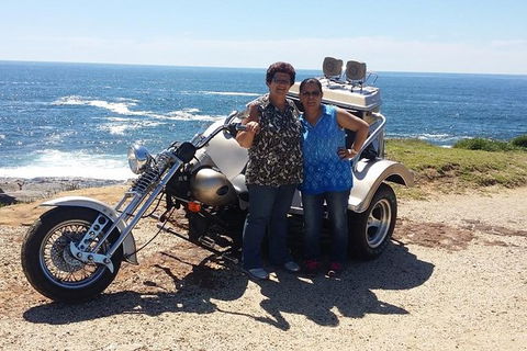 Bondi & Sydney Sights Trike Tour 1.5hrs - Northern Rivers Accommodation 0