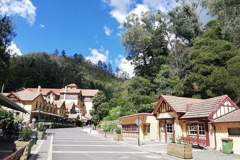 Blue Mountains Private Tour From Sydney With Jenolan Caves - Northern Rivers Accommodation 16