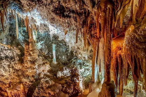 Blue Mountains Private Tour From Sydney With Jenolan Caves - Northern Rivers Accommodation 11