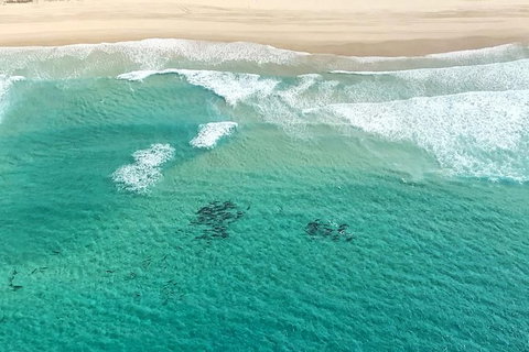 Coastal Helicopter Shared Flight - 20 Minutes - Northern Rivers Accommodation 5